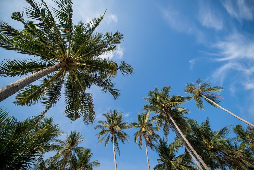 Seavana Koh Mak Beach Resort Kültér fotó